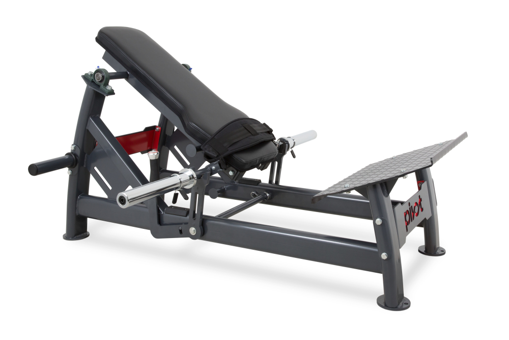 Hip Thrust